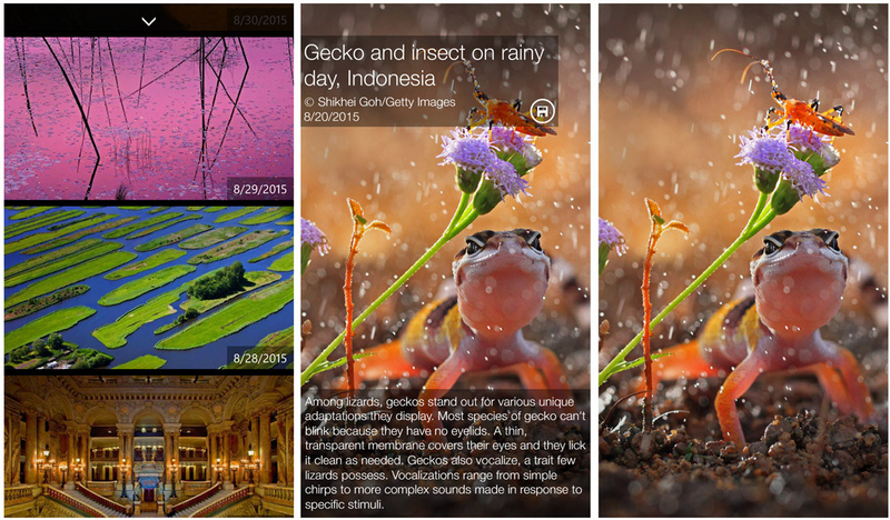 Illustration for article titled Our Favorite Android, iOS, and Windows Phone Apps of the Week